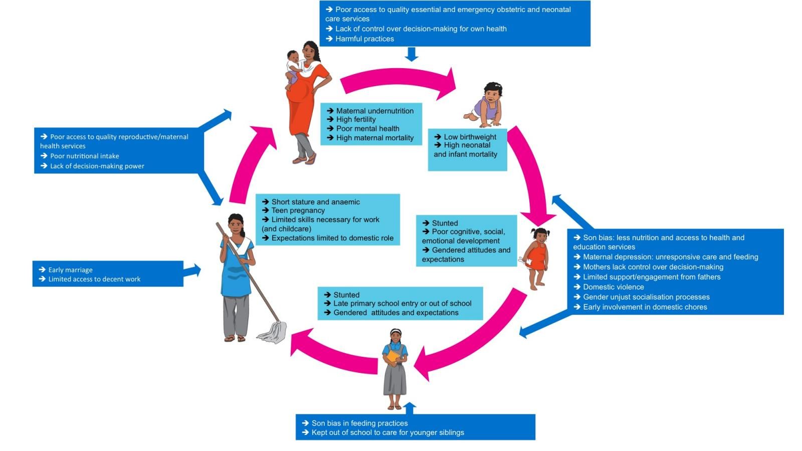 cycles of inequality, gender inequality, early childhood development, research