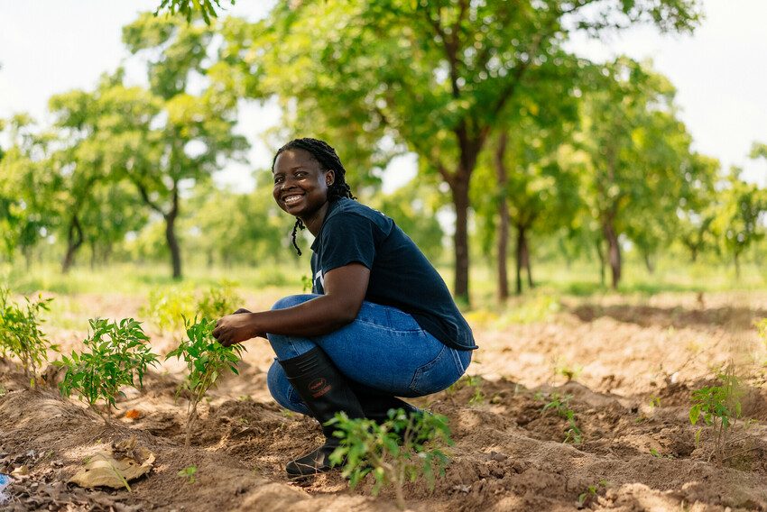 Olivia, 24, plants seedlings on her farm in northern Ghana 