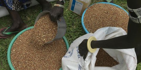 Girls' Rights and the Global Hunger Crisis