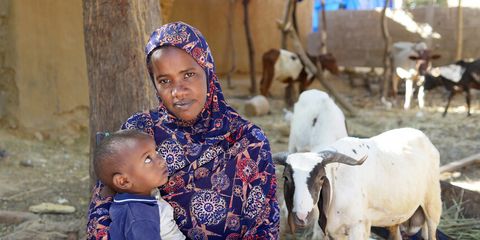 COVID-19: How cash transfers can save lives and livelihoods