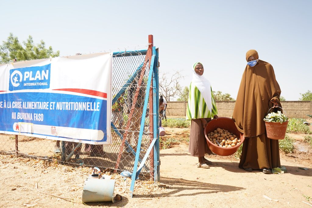 Zabré helps students harvest potatoes and cabbages from the school garden .