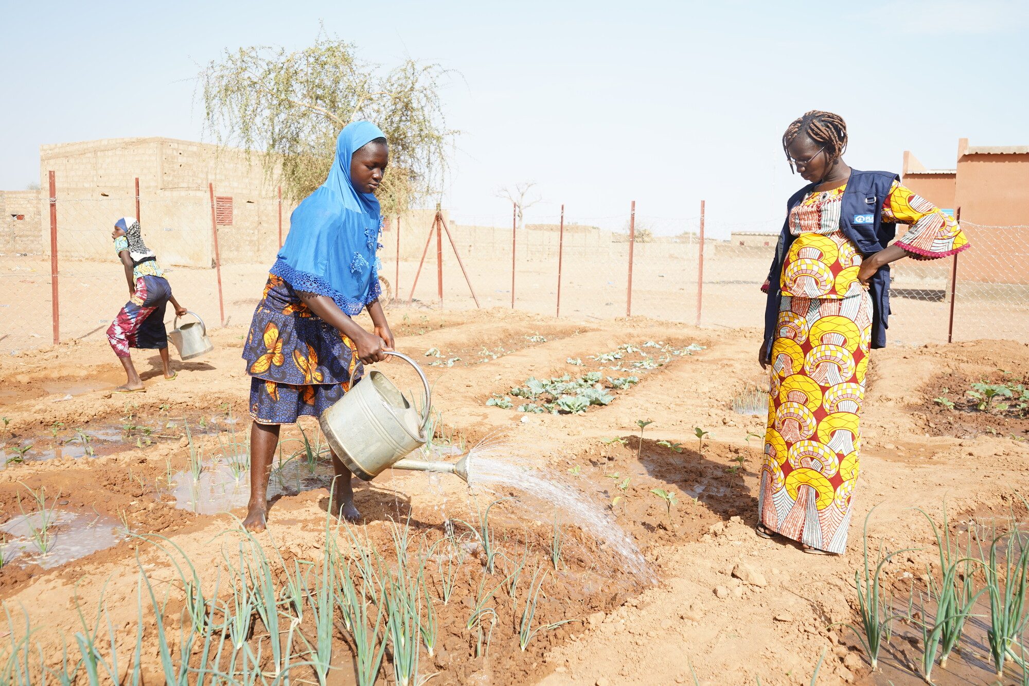 School gardening clubs in Burkina Faso are teaching girls new skills. 