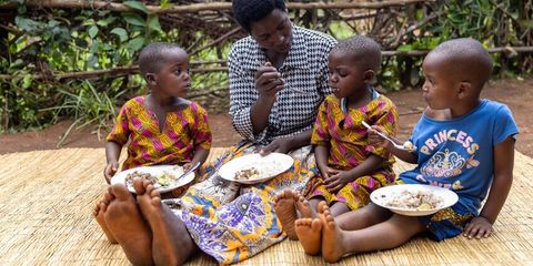 Food security and nutrition