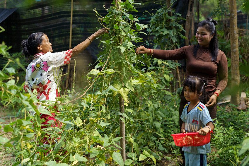 Kanada with her mother and daughter picking leaves in a garden. 