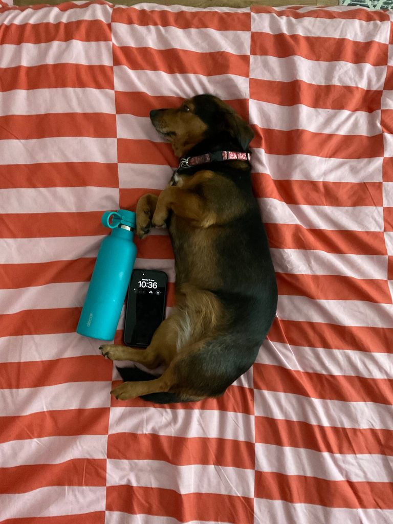 Three emergency items for #UniteForPeace.