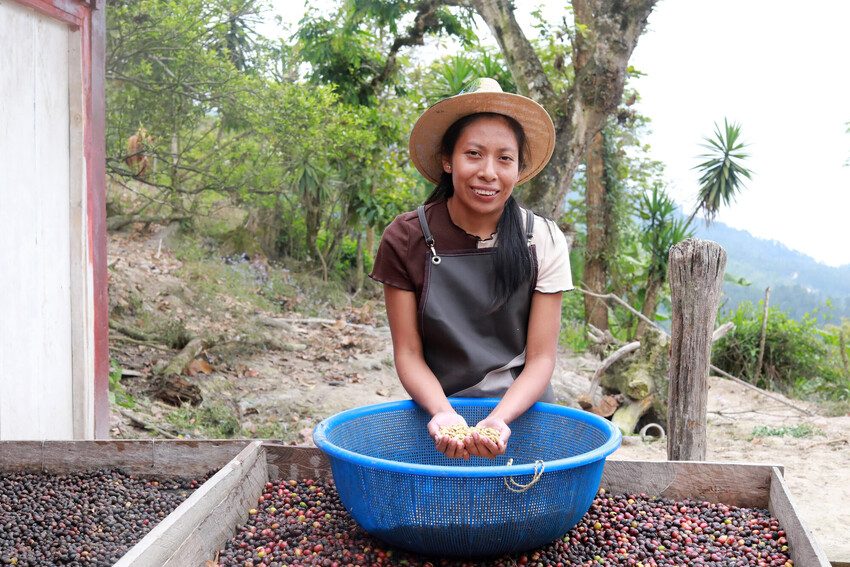 Karen preparing coffee beans for processing