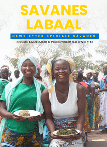 Image de couverture de la newsletter