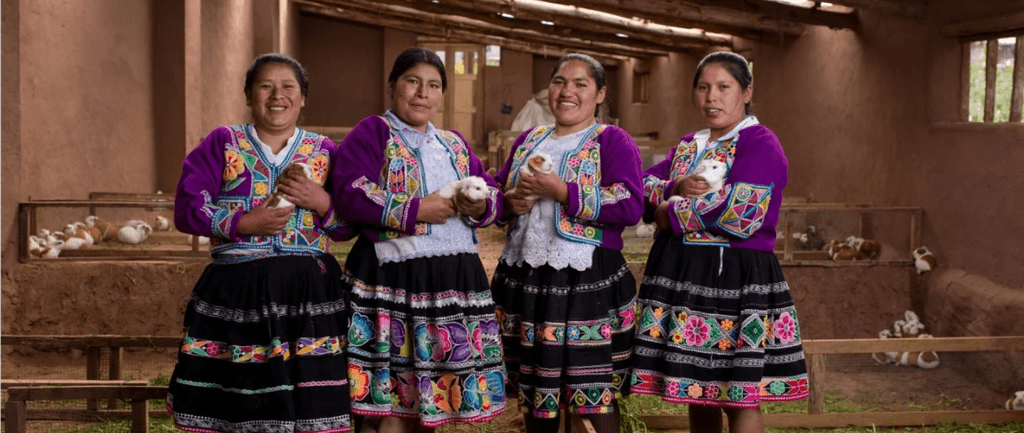 Proyecto Juventud Imparable