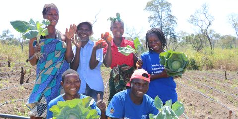 Investimentos impulsionam desenvolvimento na Zambézia