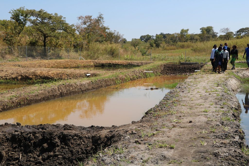 Um dos oito tanques de piscicultura, cada um contendo 1.000 peixes