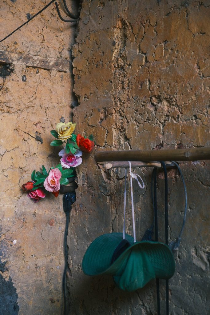 Flowers to decorate Dan's wall.