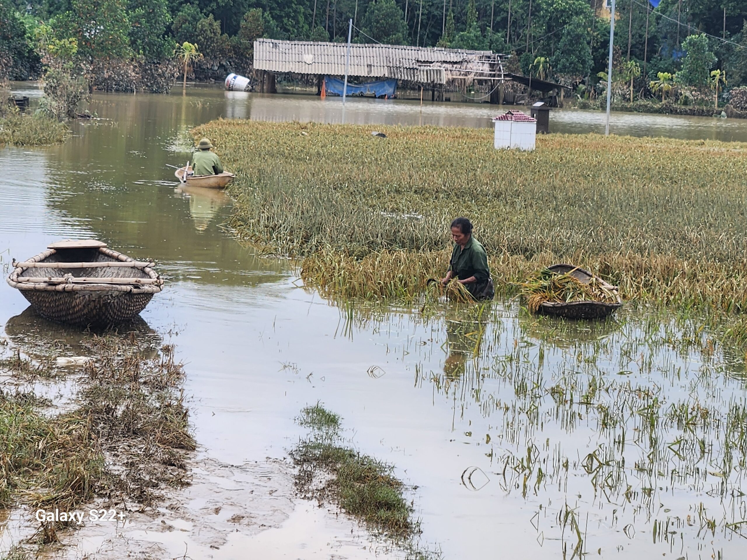 Severe flooding destroyed farming land in Phu Tho province