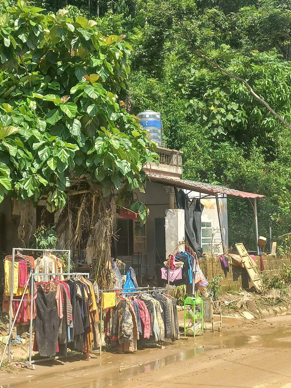 Countryside, Nature, Outdoors