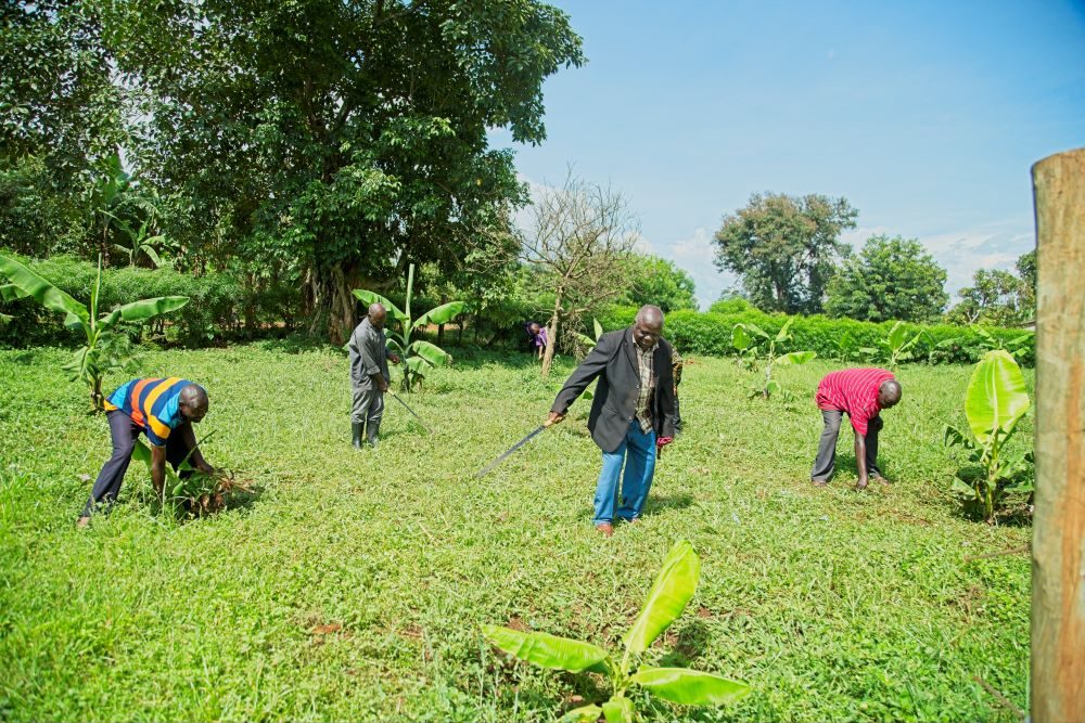 Baba clubs' members are working in the school garden to supplement children's feeding.