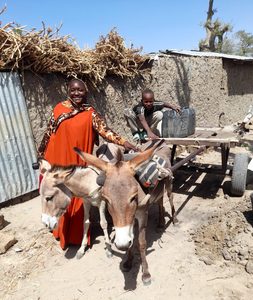 Nubwa with 2 donkeys and a young boy. 