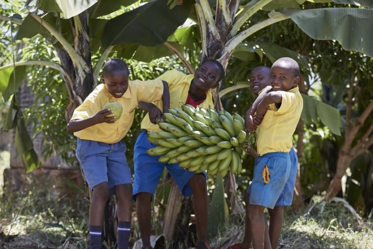 Fruit from the orchard has improved the children's health