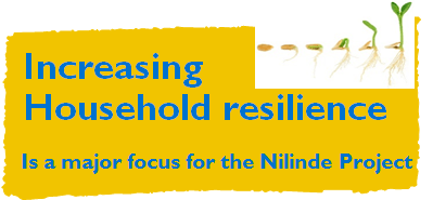 Nilinde project