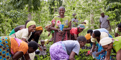 Caroline’s quest to protect Kenya’s sacred coastal forests