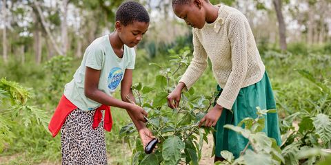 Students turn school gardens into climate solutions