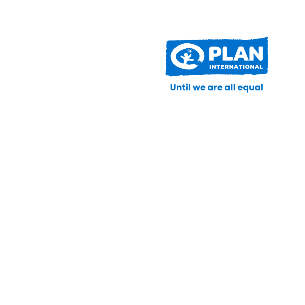 Empty white space graphic with the logo of Plan International.
