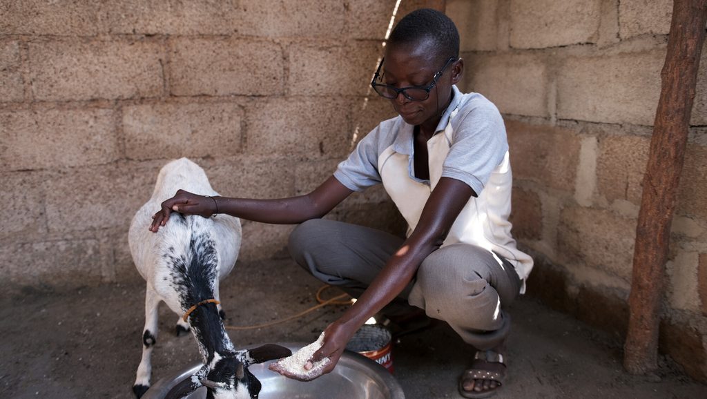 Now the owner of three adult goats, Valentine plans to buy two more to increase her income. The sale of each animal can bring in between 8 and 15 euros. However, the hunger crisis in Burkina Faso has caused unprecedented inflation and is now jeopardising the business she has worked so hard to establish. 
Animal feed is very expensive, as are the medicines and vaccines for livestock: "I really notice that prices are increasing. For example, a dish of corn bran used to cost 500 francs, but now it's 1000 francs. And you can't even buy in bulk anymore. Sometimes, when you want one or two bags, the seller says that people have already reserved the bags, and he won't sell them to you.” 
For Valentine, the crisis has directly led to a drop in her income: "I don't make as much profit anymore, and that doesn't allow me to take my medicine and support myself.” 
Alimata Sawadogo, Plan International’s project supervisor in Koupela, recently visited Valentine to check her progress. "When I talk about Valentine, I immediately see a very courageous woman, a fighter in the sense that I've never seen a woman in this condition who fights so hard.” 
According to Alimata, the support of the project is no longer enough. “Given her situation, I would like the support to go beyond what she has already received. We should continue to help her with her livestock activity, so that she can have more animals and also with cash so that she can buy feed, as everything has become expensive on the market. This affects her monthly income. It's really hard to get by.”
While waiting for possible support, Valentine keeps her head high, and tells us: “I'm a girl with a disability. It's true that I didn't have the chance to go to school, but I can still do something to support myself. I have to work very hard, more than the others. Even if I don't succeed today, I know that in the future I will be able to succeed.”