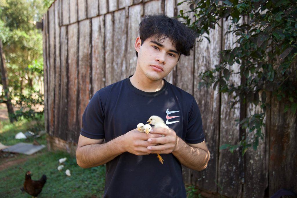 Emprendedor avícola