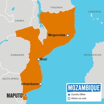 Mozambique Orange Scr ?resize=850%2C850&zoom=0.25