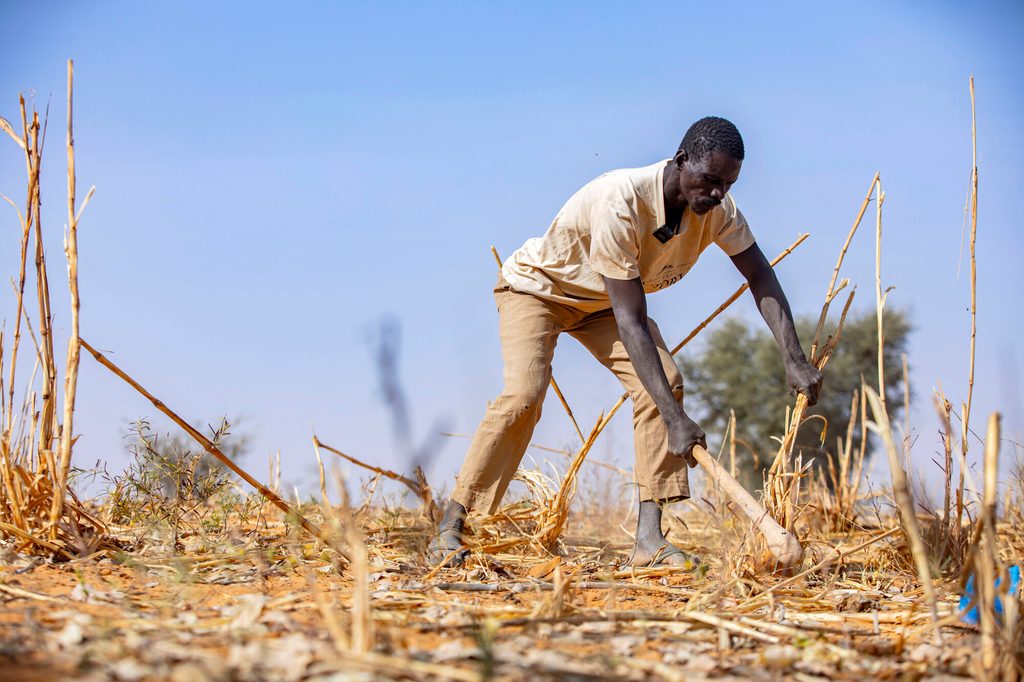 Increasingly erratic rainfall and longer dry seasons mean that many parts of Niger have not had a good harvest for years. Temperatures are rising 1.5 times faster here than the rest of the world, leading to a cycle of droughts. 