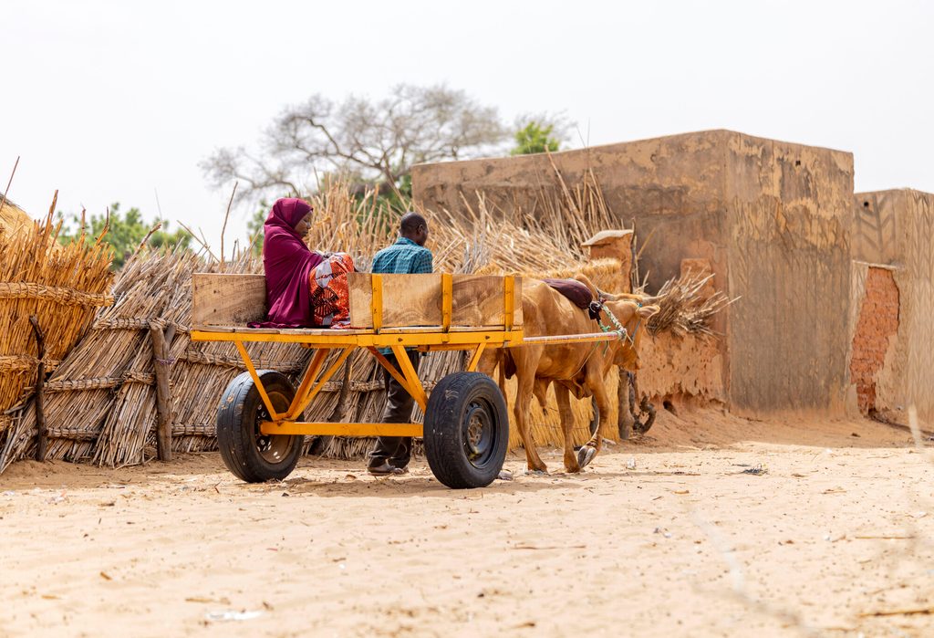 Zina on a cart. 