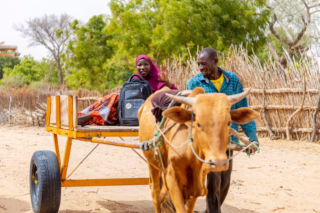 Zina travelling to school on the cow-drawn cart