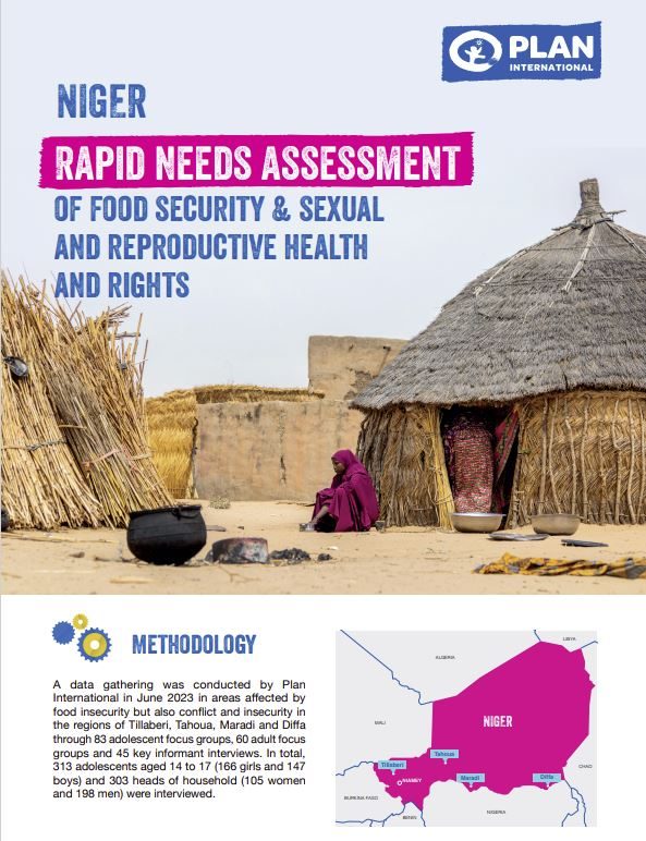 Niger rapid needs assessment of food security and sexual and reproductive health and rights