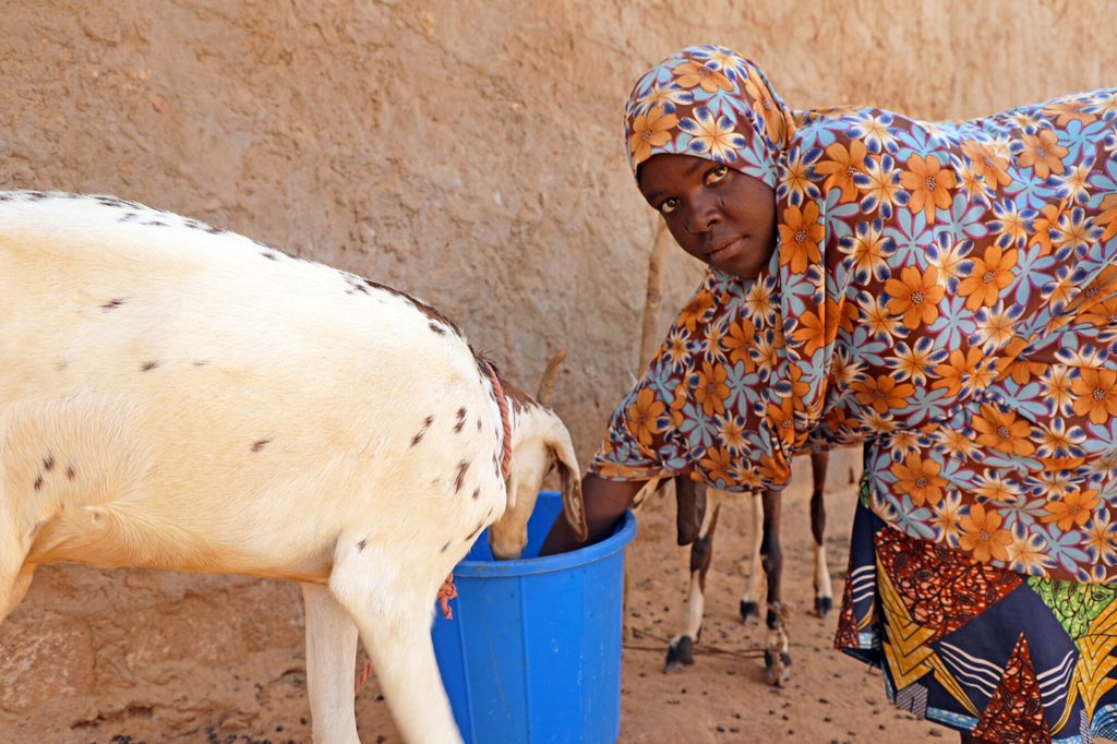Aichatou caring for her goats using a bucket.