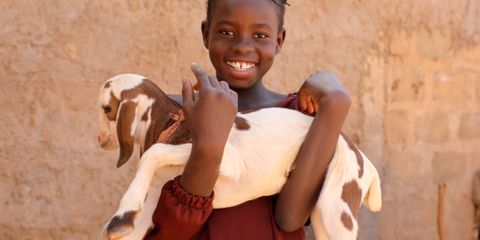 Aichatou the goat breeder providing for her family