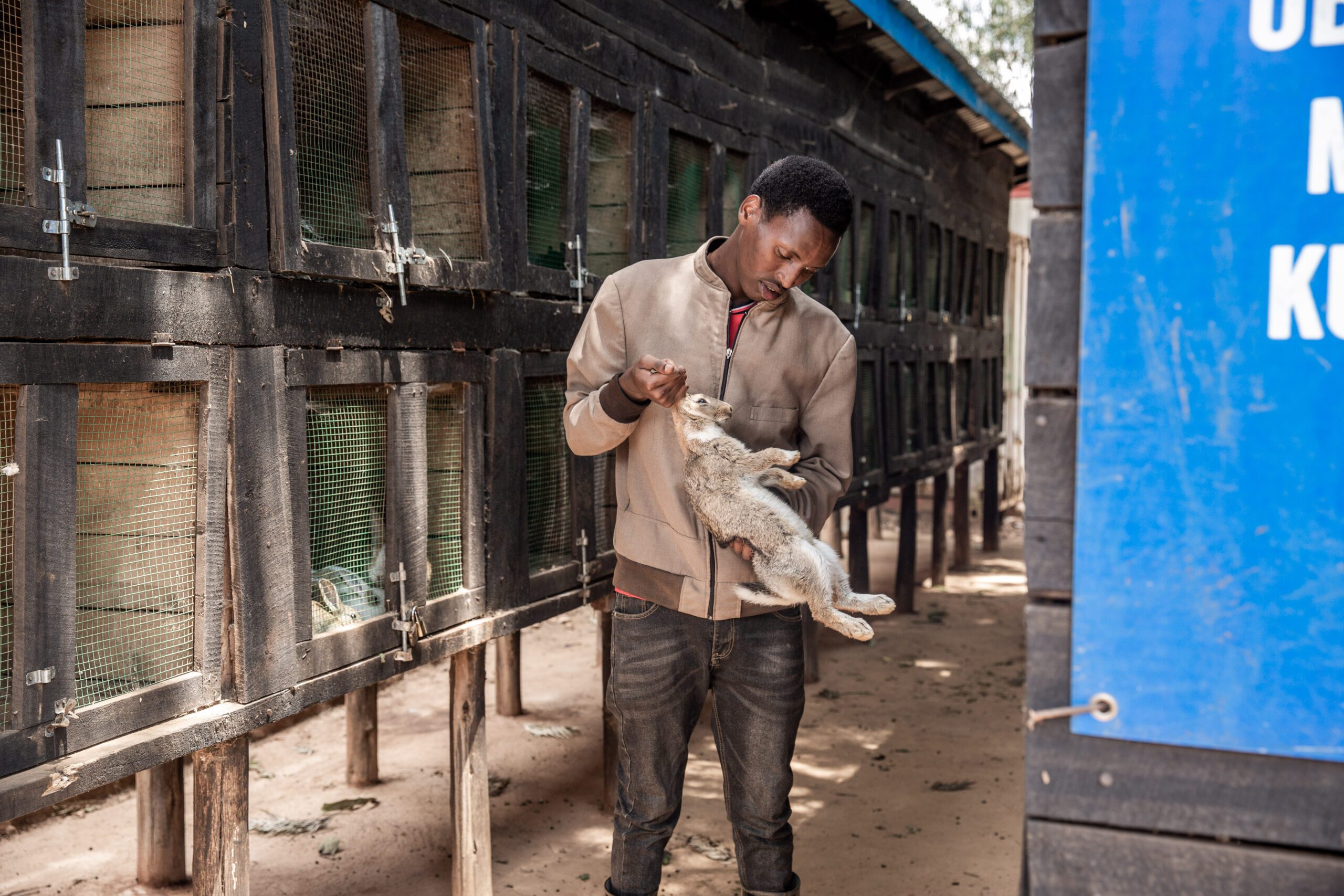 Rabbit rearing serves as a crucial source of income for refugee youth.