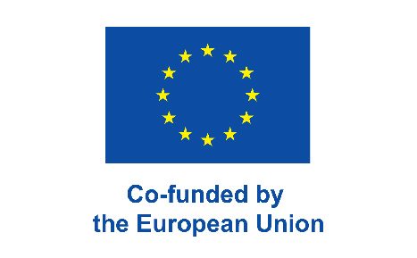 Co-funded by the European Union