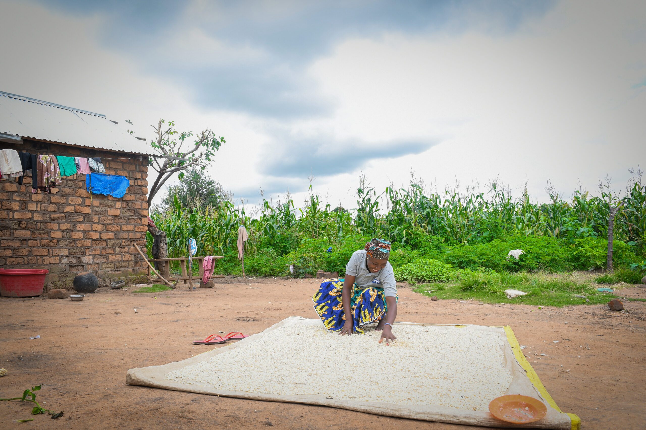 Edwina spreading out grain on a mat. 