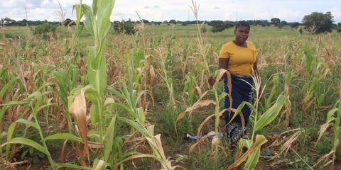 Drought crisis has critical consequences for millions in Zambia