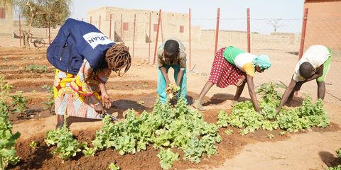 Report: school feeding initiatives in the Central Sahel