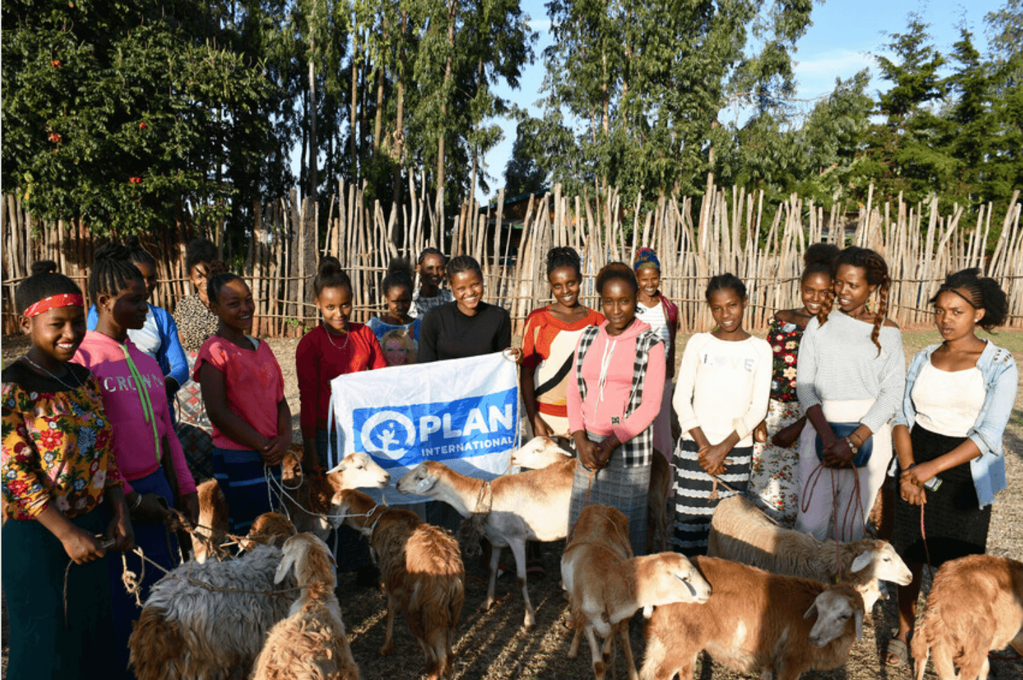 Tamenech, 17, and other vulnerable girls receive their sheep from Plan International