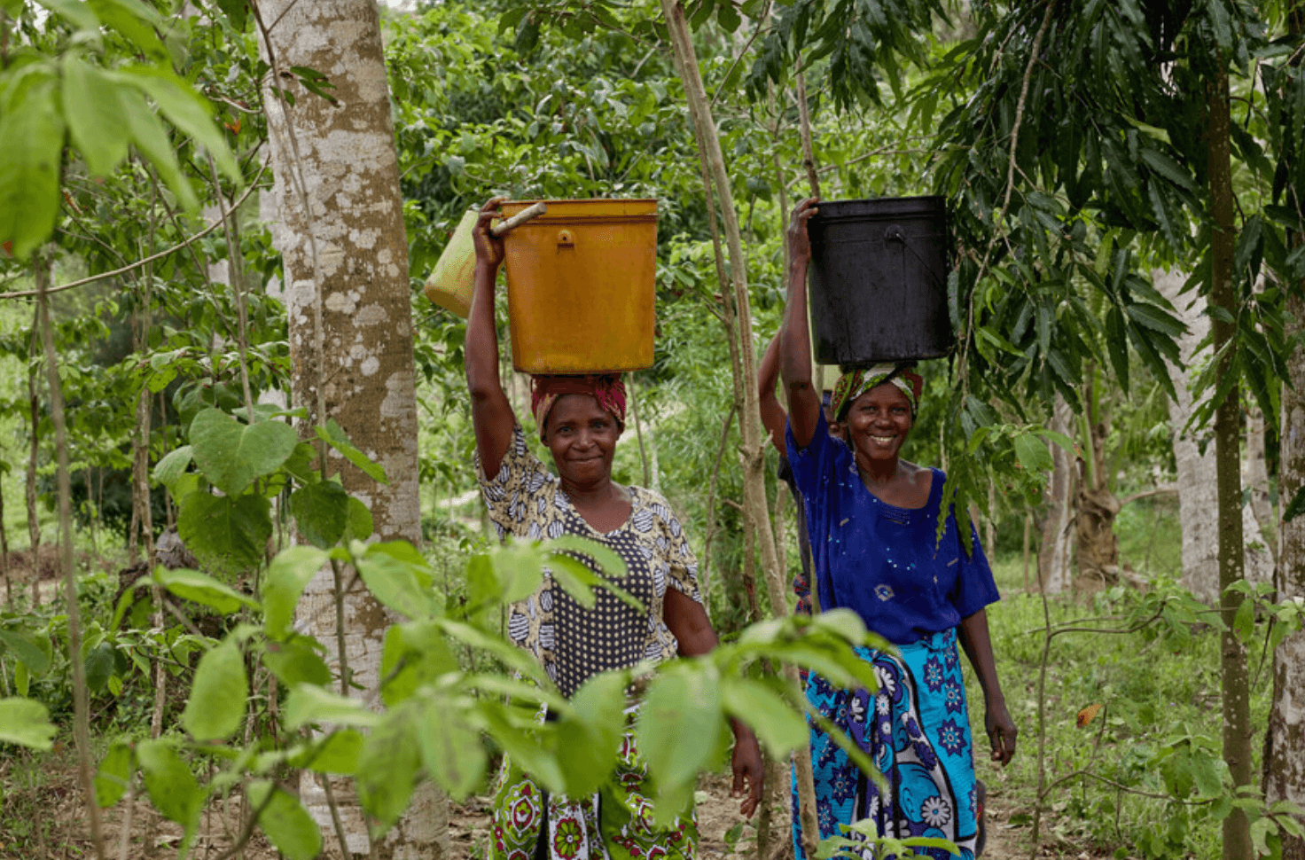 Women carrying buckets of water through the forest. 