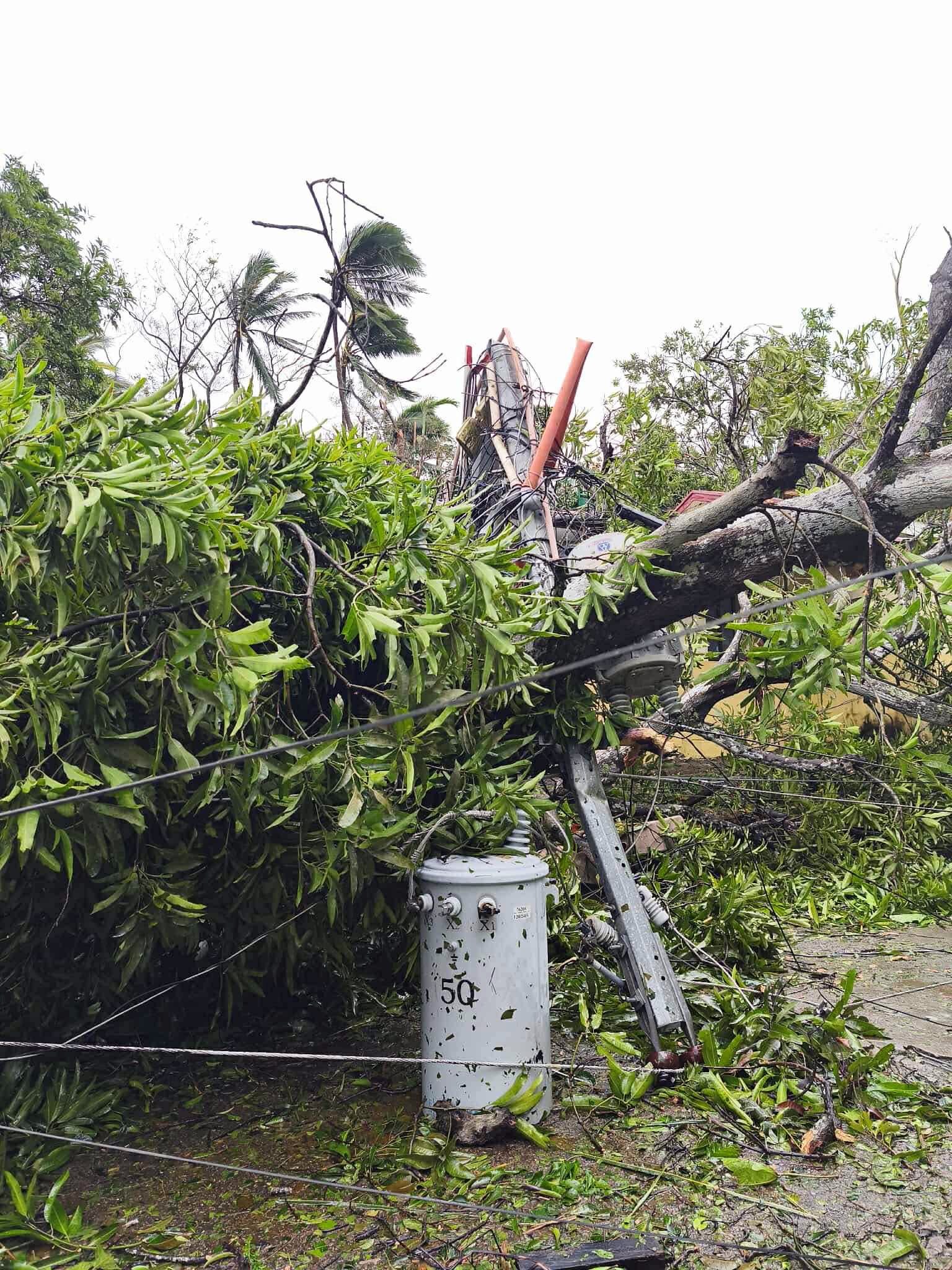 Aftermath of Typhoon Bualoi in Masbate, Philippines  