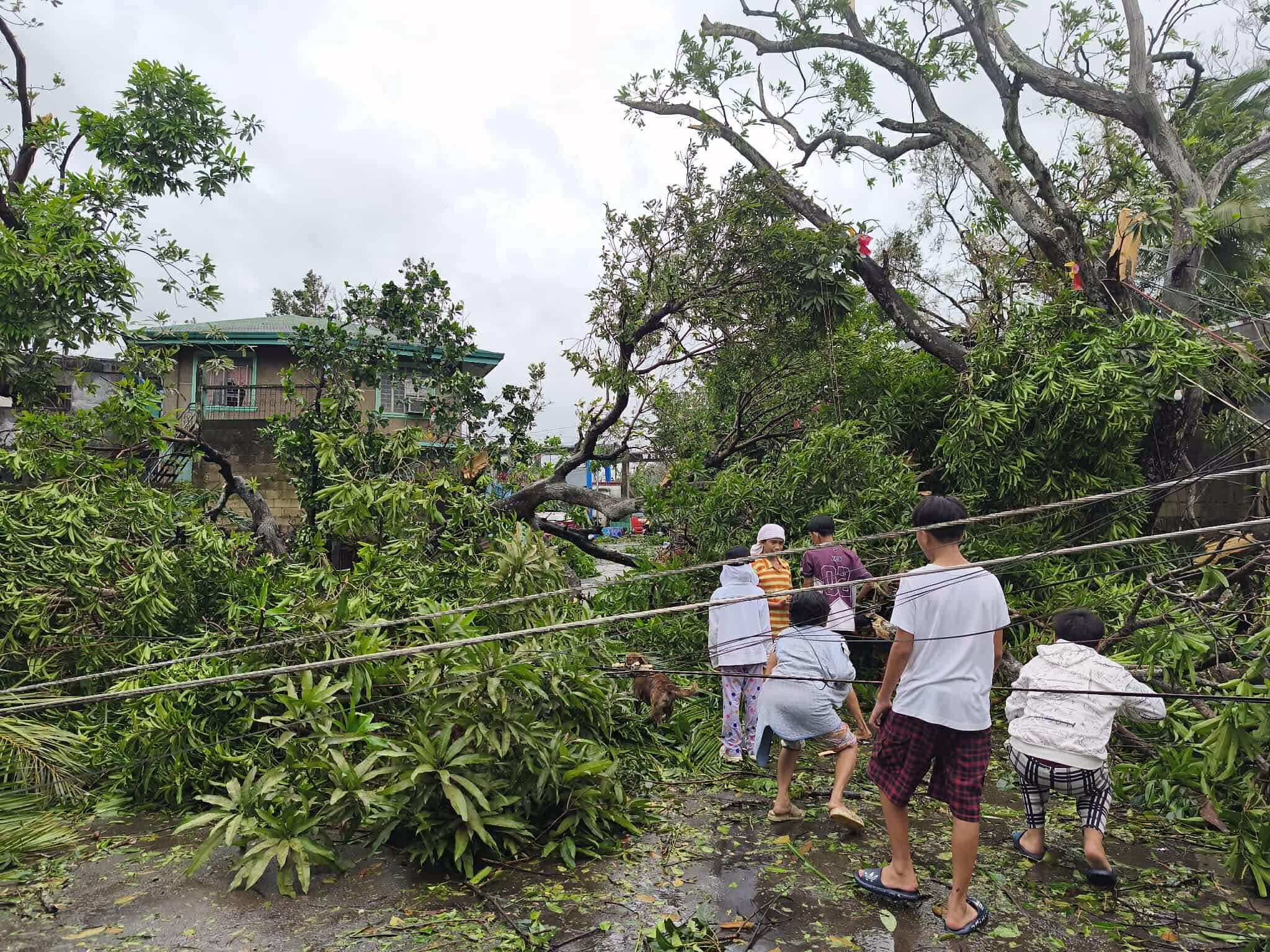 Aftermath of Typhoon Bualoi in Masbate, Philippines  