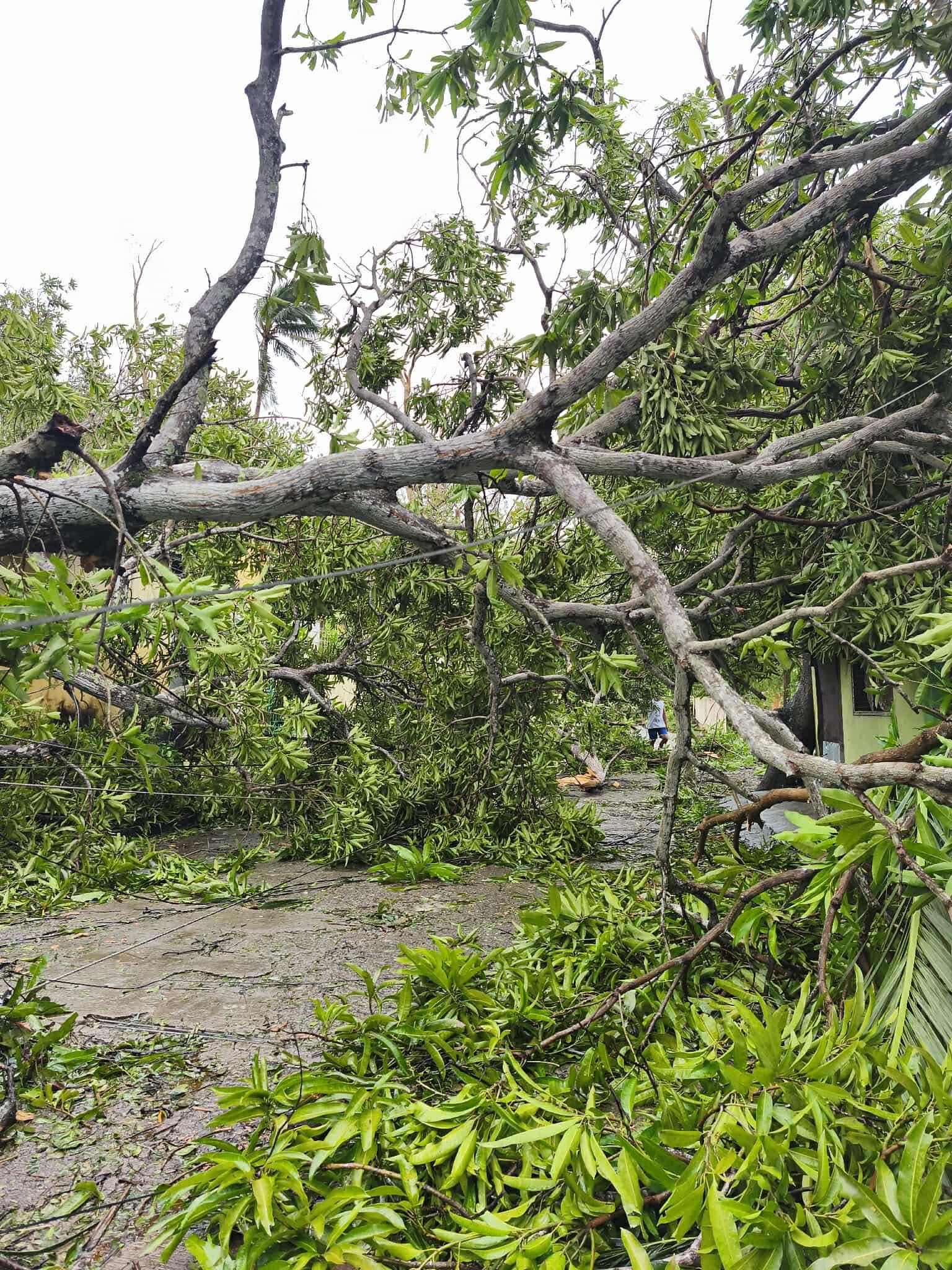 Aftermath of Typhoon Bualoi in Masbate, Philippines  