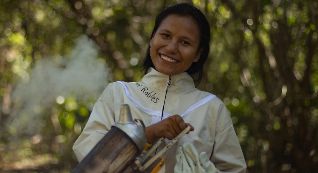 Joven desarrolla habilidades en apicultura Joven desarrolla habilidades en apicultura