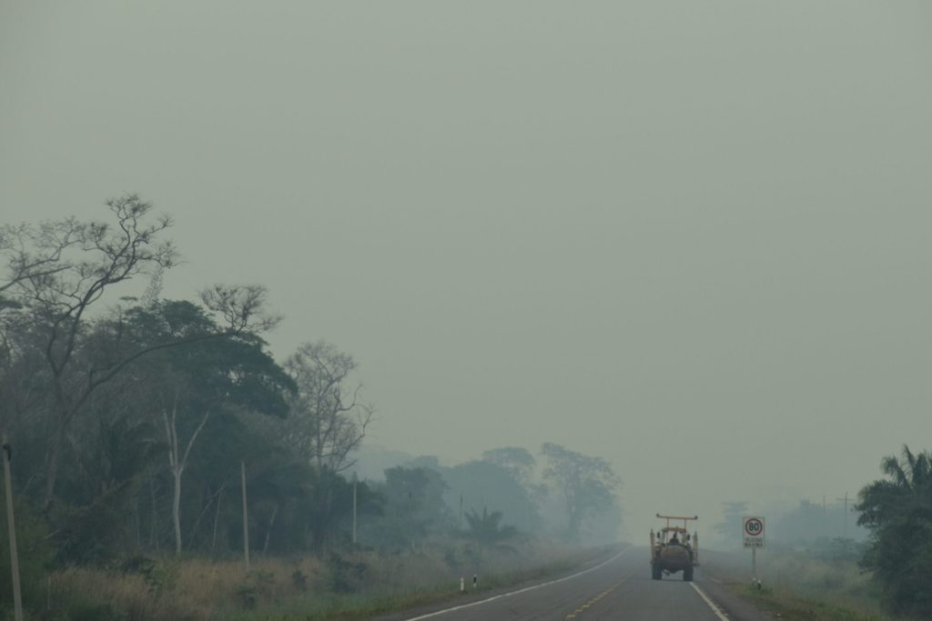 Indencios forestales en Bolivia.
