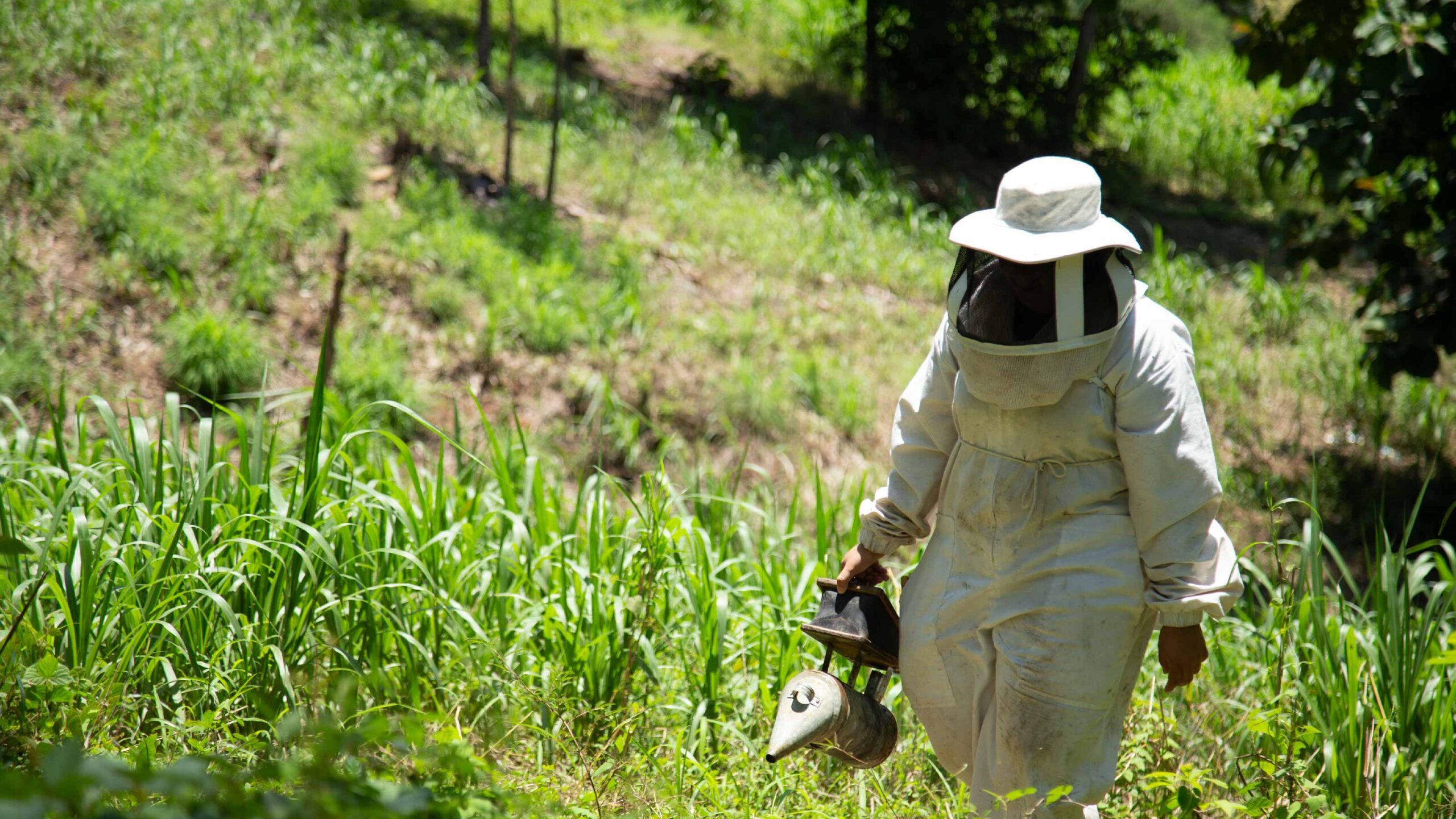 Silvia trabajando con las colmenas y la miel