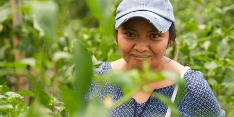 Mujeres agricultoras cosechando oportunidades