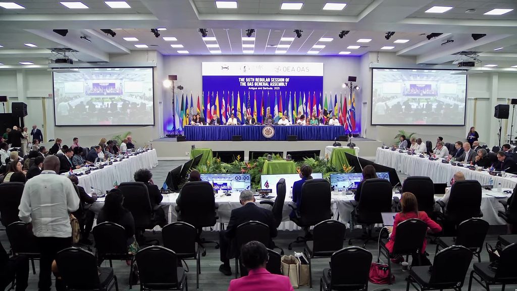 Yoselin como portavoz del Instituto Interamericano del Niño, la Niña y Adolescentes (IIN-OEA).