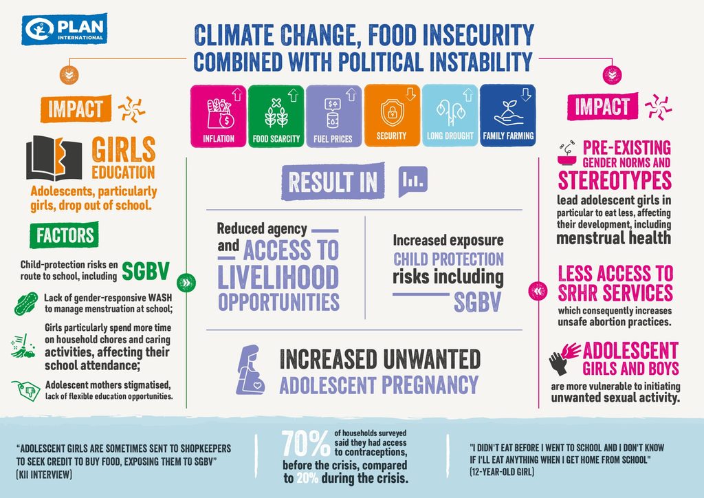 An infographic displaying information and statistics from Plan International Haiti's report: Rapid gender analysis in Haiti