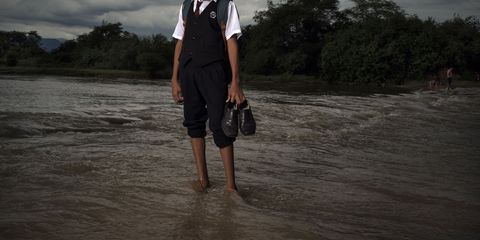 Learning between floods: Stalin’s resilience 